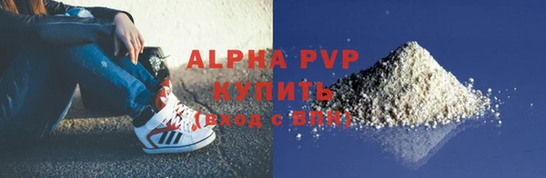 эйфоретик Беломорск