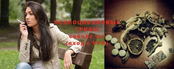 винт Богданович