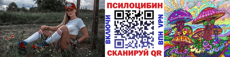 KRAKEN   Бугульма  Галлюциногенные грибы Psilocybe  купить  